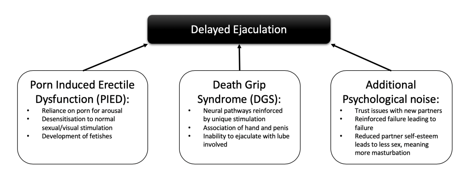 Cure Delayed Ejaculation How I beat it for good, and how you can too